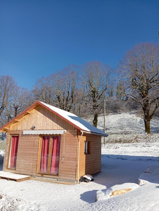 La P'Tite Maison Bois Du Herisson Menetrux-en-Joux Exterior foto